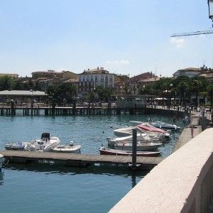 Desenzano, il Comune vuole abbattere con il gas i piccioni. E gli ambientalisti insorgono