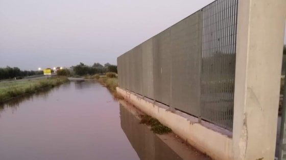 Cantine sabotate nel Foggiano, gara di solidarietà: "Compriamo il vino". S'indaga su concorrenza sleale