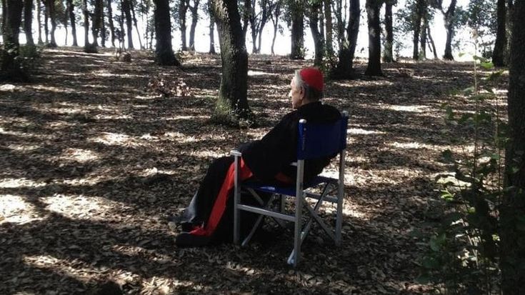 Paolo Sorrentino "Grande, grandissimo Roberto Herlitzka": il premio Oscar dà l'addio al grande attore scomparso