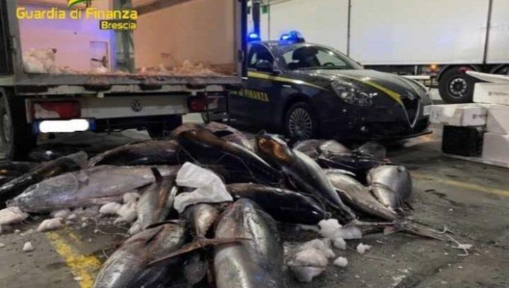 Una tonnellata e mezzo di tonno siciliano trasportato in pessime condizioni igieniche: scatta il maxi sequestro a Brescia