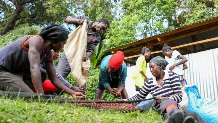 Fairtrade, vendite quasi raddoppiate rispetto al 2019 per il commercio equo e solidale
