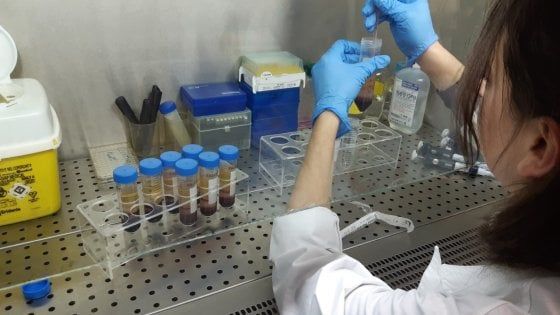 Coronavirus in Emilia-Romagna: 285 casi, otto morti. Scuole chiuse per una settimana