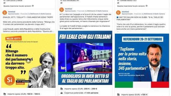 Referendum, un caso per i 5s la sponsorizzazione del Sì con i post di Meloni e Salvini