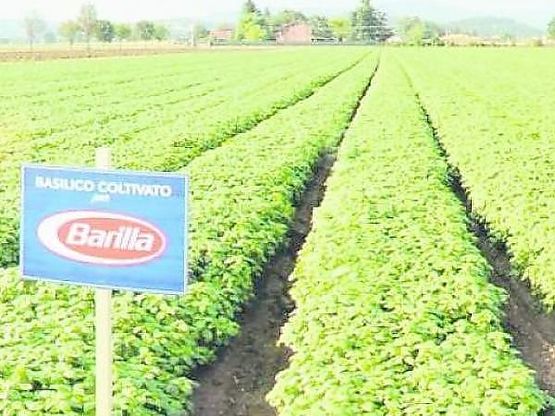 Barilla taglia grassi, sale e acqua e porta la sostenibilità nel board 