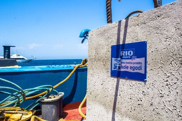 Egadi: la barriera "sea frendly" per salvare la posidonia oceanica