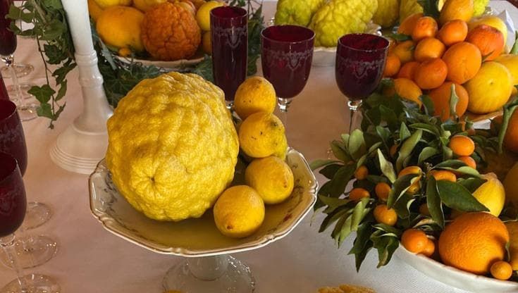 Agrumi rari sulle sponde del Lago Maggiore: così nasce Oramaro, nuovo volto degli amari piemontesi
