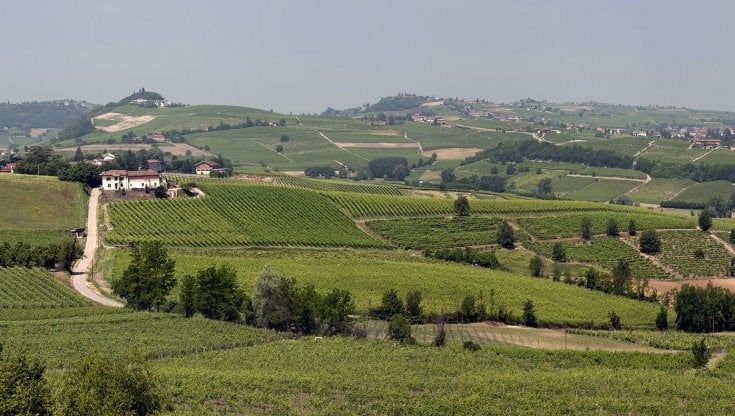 Vent'anni di Nizza Docg e un obiettivo: "Produrre un milione di bottiglie l'anno"