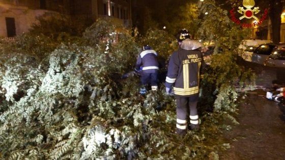 Maltempo, allerta meteo in Emilia-Romagna. A Bologna allagamenti e alberi caduti