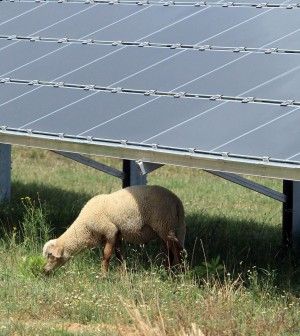 Bond e scaglioni per salvare il fotovoltaico.Anatocismo, valanga di richieste di stop