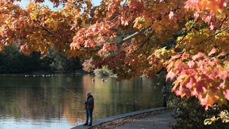 Usa, addio foliage: i cambiamenti climatici stanno cancellando la magia dei colori dell'autunno