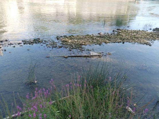 Roma, il giallo dei cartelli stradali nel Tevere, riaffiorati e poi scomparsi 