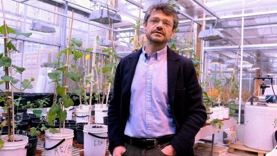 "Troppe parole avvelenano, torniamo ad un cibo educato"