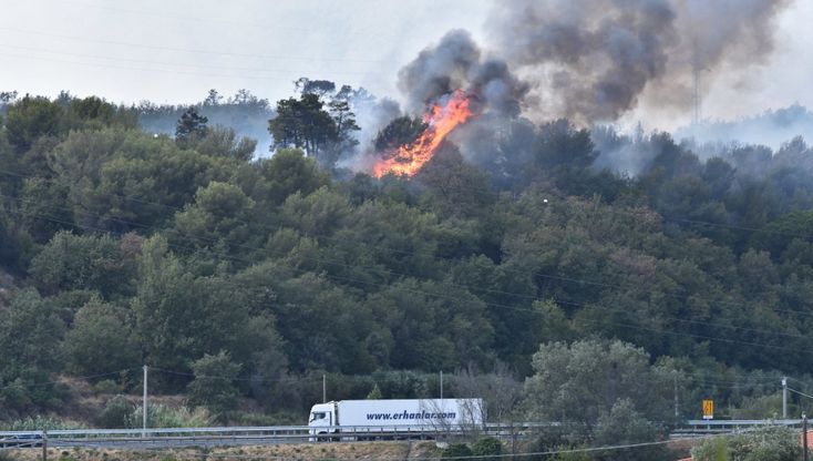 Incendi, nel Savonese in due giorni bruciati 400 ettari di bosco
