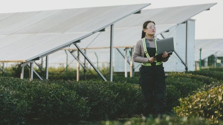 Usa: eolico e solare generano per la prima volta più elettricità del carbone nel 2024