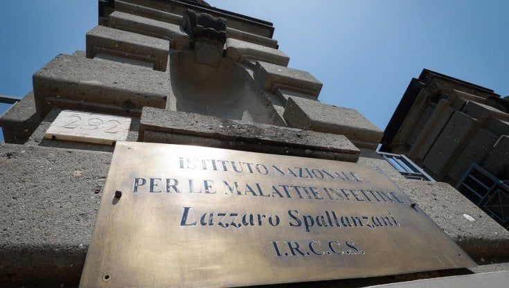 Vaiolo scimmie, sale a 6 il numero dei casi. D'amato: "Sistema di sorveglianza infettivologica in stato di massima attenzione"