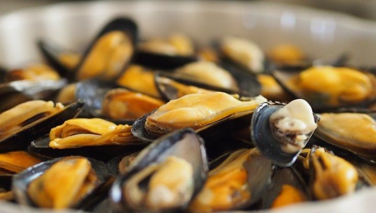 Depurazione, tracciabilità, miglioramento genetico: la ricerca scientifica sposa la molluschicoltura