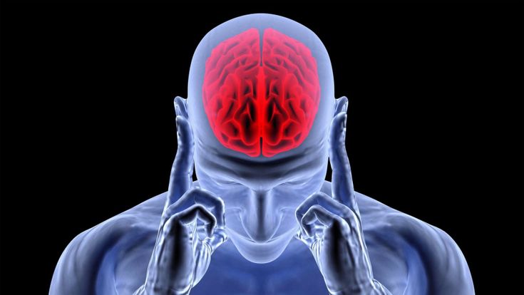 "Vi spiego perché il cervello non invecchia"