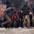 Atene: addio a "Loukanikos", cane black-bloc e anti-Troika