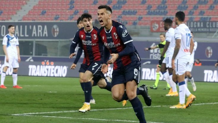 Bologna-Atalanta 2-2: doppio Muriel non basta, Tomiyasu e Paz firmano la rimonta rossoblù