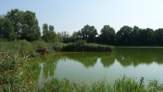 Wwf rilancia le Giornate delle Oasi: ogni prima domenica del mese fino a ottobre
