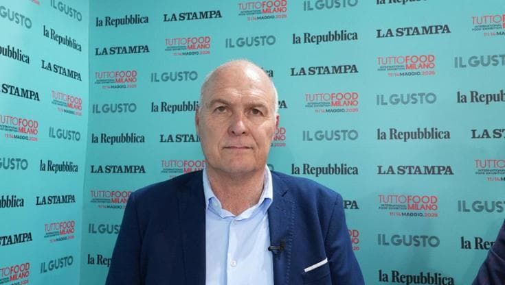 Il futuro dell'olio toscano che mette insieme mille produttori