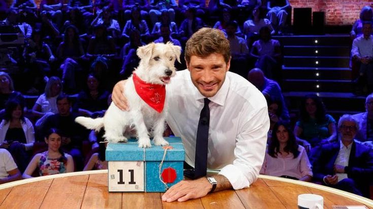 Stefano De Martino torna con “Affari tuoi”. Nuovo studio e il cane Gennarino va in pensione