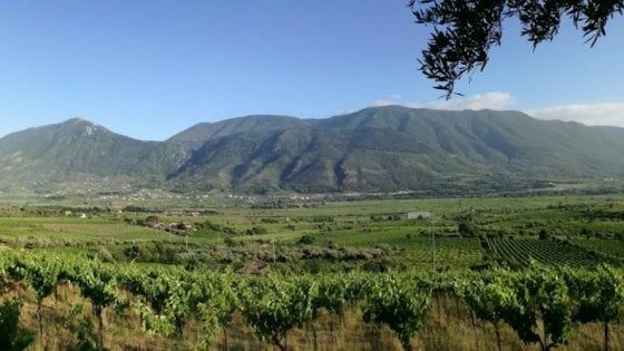 Turismo nel Sannio, partire da storia ed enogastronomia