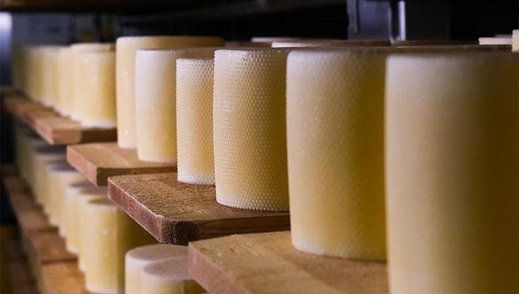 Tête de Moine DOP: il formaggio che si fa rosetta