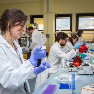 Una nuova impresa su tre è di giovani