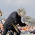 Branduardi a RisorgiMarche, l'incanto della musica e la magia della natura