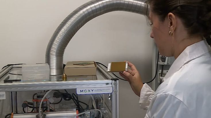 Università di Pisa, ecco Moxy: la tecnica green per restaurare le opere d’arte