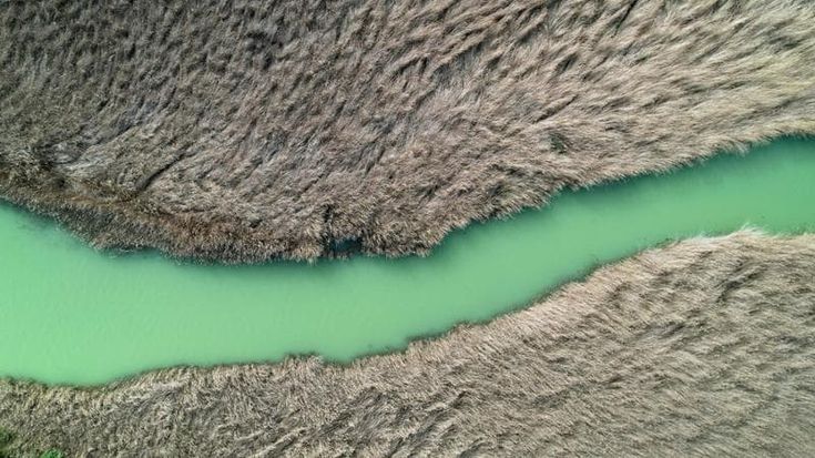 El Niño passa, ma il cambiamento climatico resta: “Farà ancora caldo, finché ci sarà troppa anidride carbonica”
