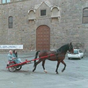 Disarcionato dal calesse e trascinato per centinaia di metri, in ospedale
