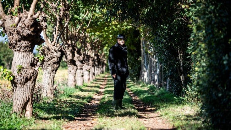 L'uomo che piantava "albere" tra i capanòn