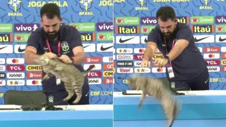 La maledizione del gatto che ha eliminato il Brasile dal Mondiale