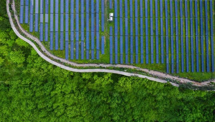 Il futuro della sostenibilità passa per il contrasto al greenwashing 