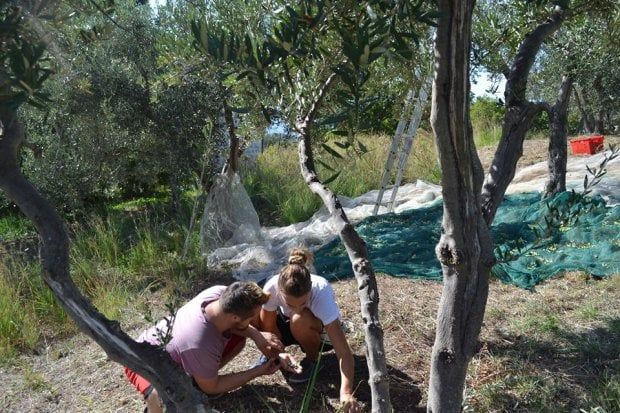 Cosenza, un film racconta l'avventura di una comunità per disabili