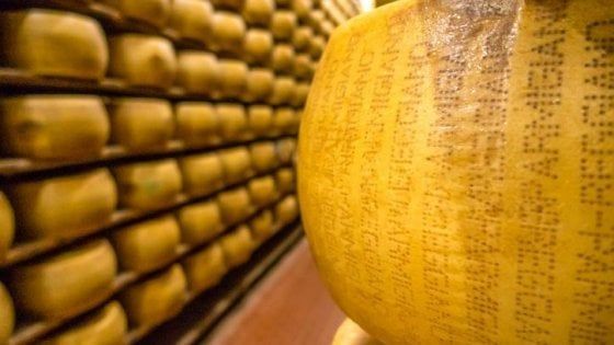 Parmigiano Reggiano: crescono produzione, vendite e ricavi