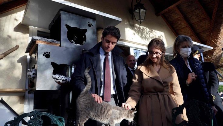 La Francia vieta la vendita di cuccioli di animali nei negozi