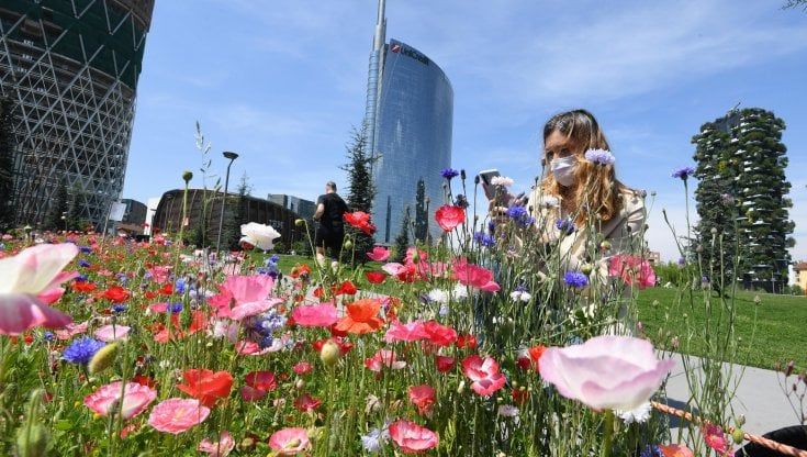 Coronavirus Italia, il bollettino di oggi 13 maggio: 8.085  nuovi casi e 201 decessi 