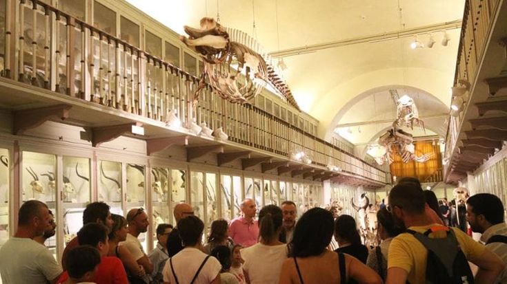 Cento anni di Università di Firenze, tanti eventi e la riapertura del Museo della Specola