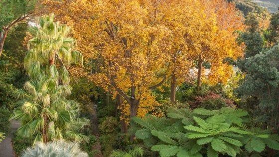 I Giardini della Mortella, Ischia: una meta imperdibile anche durante la stagione fredda