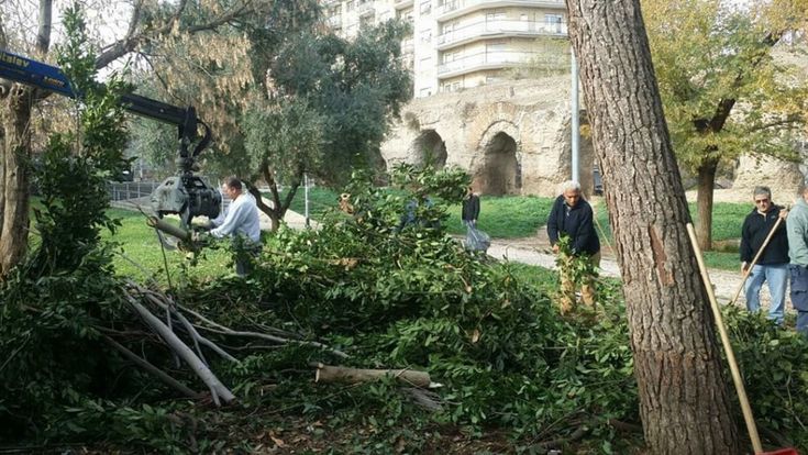 Parco Sangalli, là dove c’erano le discariche crescono i fiori