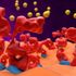 Miastenia gravis: uno studio per andare oltre i sintomi fisici