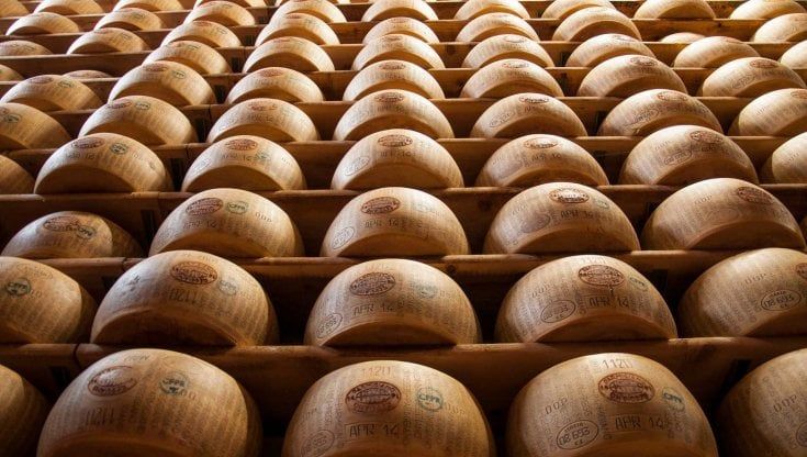 Parmelier, il corso per conoscere i segreti del Parmigiano Reggiano
