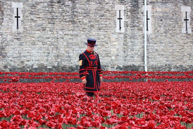 Gb, papaveri rossi per commemorare il centenario della Prima Guerra Mondiale