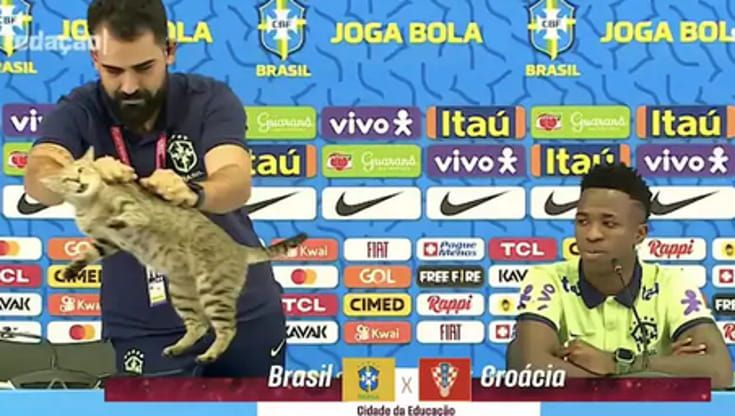 La maledizione del gatto dietro il flop di Ancelotti al Mondiale: i brasiliani ci credono