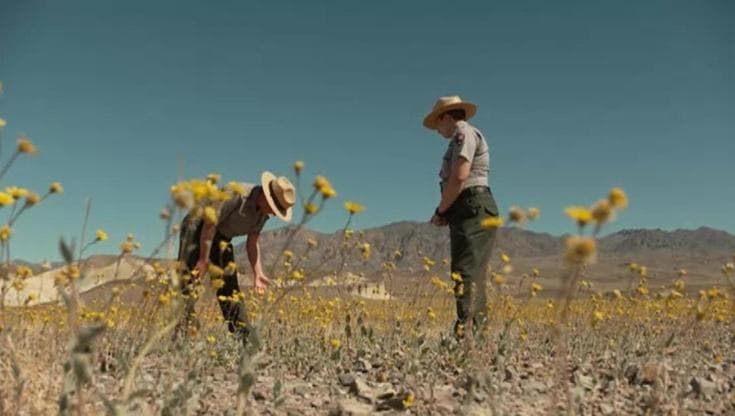 California, la Death Valley fiorita. "Uno spettacolo che non si vedeva da almeno 10 anni"