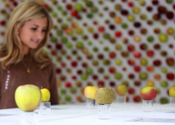 Il "vero" Apple Store: via i telefonini, si vendono mele