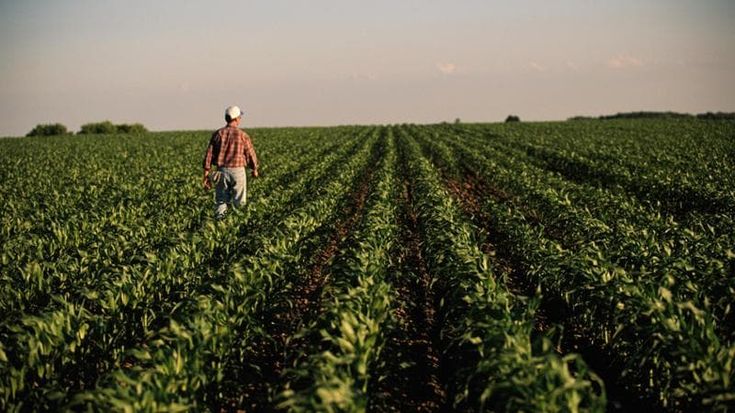 Un’agricoltura sempre più verde